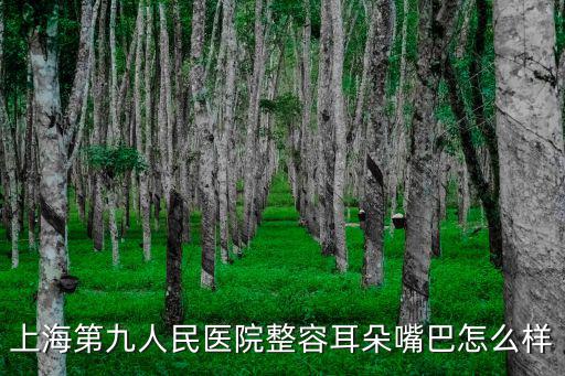 上海第九人民醫院整容耳朵嘴巴怎么樣