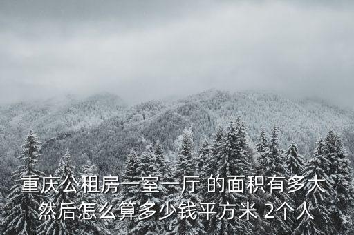重慶公租房一室一廳 的面積有多大 然后怎么算多少錢平方米 2個人