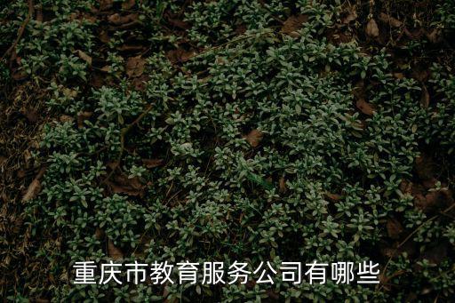重慶市教育服務公司有哪些