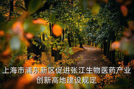 上海市浦東新區促進張江生物醫藥產業創新高地建設規定