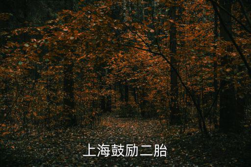 上海鼓勵二胎