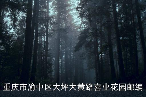 重慶市400042，重慶市渝中區石油路萬科錦程3棟201郵編