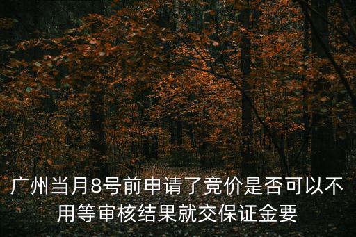 廣州當月8號前申請了競價是否可以不用等審核結果就交保證金要