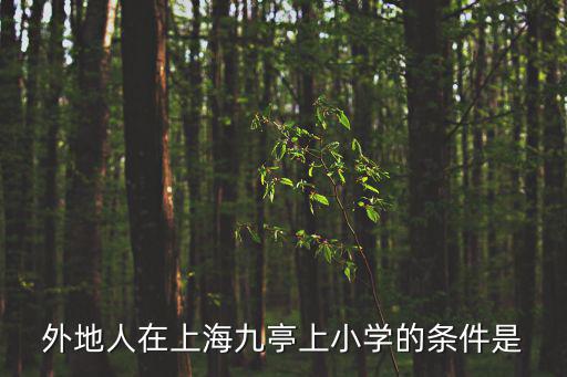 外地人在上海九亭上小學(xué)的條件是