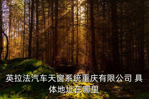 英拉法汽車天窗系統重慶有限公司 具體地址在哪里