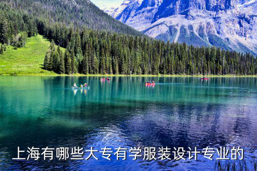上海有哪些大專有學服裝設計專業的
