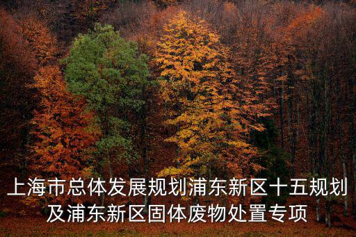 上海市總體發展規劃浦東新區十五規劃及浦東新區固體廢物處置專項