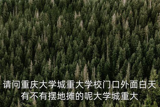 請問重慶大學城重大學校門口外面白天有不有擺地攤的呢大學城重大