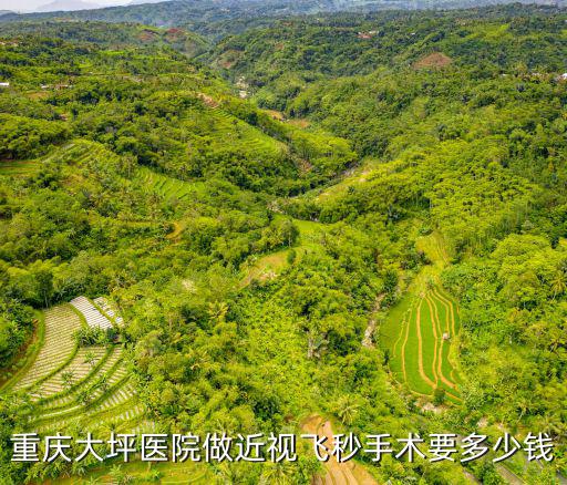 重慶大坪醫院做近視飛秒手術要多少錢