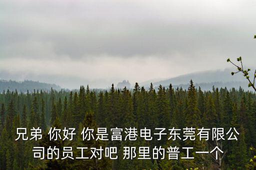 兄弟 你好 你是富港電子東莞有限公司的員工對吧 那里的普工一個