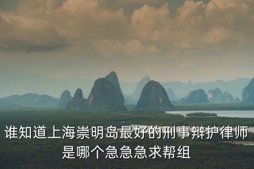 誰知道上海崇明島最好的刑事辯護律師是哪個急急急求幫組