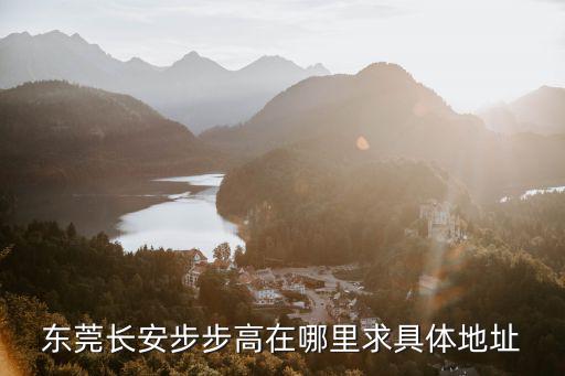 東莞長安步步高在哪里求具體地址
