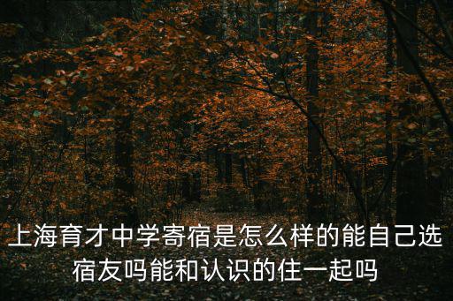 上海市民辦育才中學，上海育才初級中學民立初中愛國初中現在哪一個綜合教學質量比較