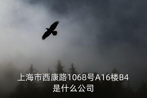 上海市西康路1068號A16樓B4是什么公司
