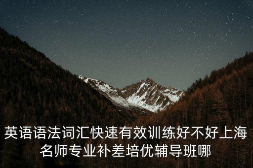英語語法詞匯快速有效訓練好不好上海名師專業補差培優輔導班哪