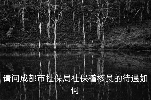 請問成都市社保局社保稽核員的待遇如何