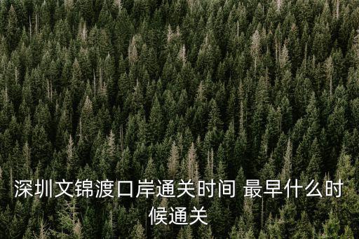深圳文芳口岸，深圳有幾個口岸