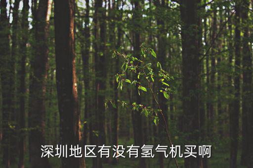 深圳市龍崗區哪里有賣氫氣的地方，深圳哪里有賣氫氣球