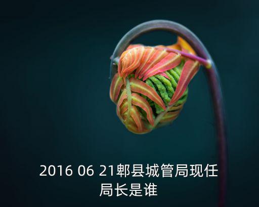 成都市城管局局長是誰，請問成都市房管局現任局長是誰