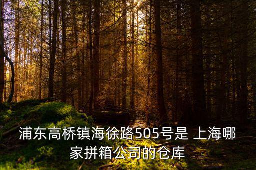浦東高橋鎮海徐路505號是 上海哪家拼箱公司的倉庫