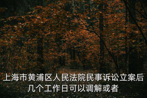 上海市黃浦區(qū)人民法院民事訴訟立案后幾個(gè)工作日可以調(diào)解或者
