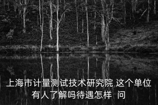 上海市電子儀表標準計量測試所，上海市計量測試技術研究院怎么樣