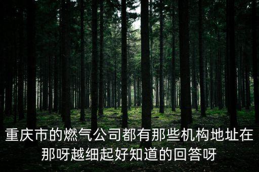 重慶市的燃氣公司都有那些機構地址在那呀越細起好知道的回答呀