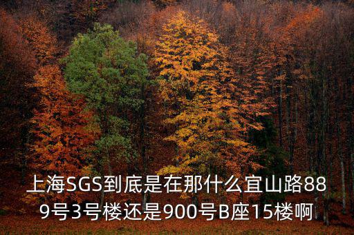 上海市sgs檢測中心，上海SGS到底是在宜山路889號3號樓還是900號B座15樓啊