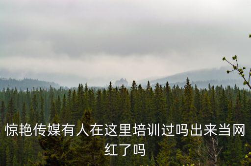 驚艷傳媒有人在這里培訓過嗎出來當網紅了嗎