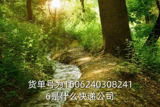 貨單號(hào)為16062403082416是什么快遞公司