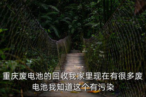 重慶廢電池的回收我家里現在有很多廢電池我知道這個有污染