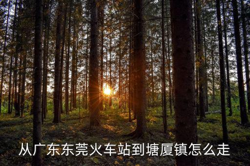 從廣東東莞火車站到塘廈鎮怎么走