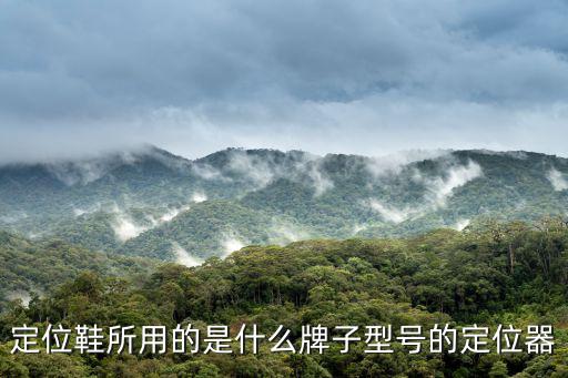 定位鞋所用的是什么牌子型號的定位器