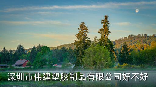 深圳市偉建塑膠制品有限公司好不好