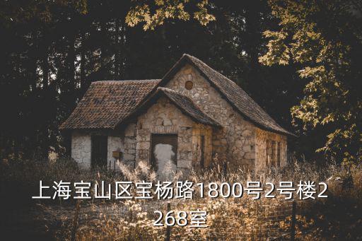 上海市寶山區立夢公寓，上海市寶山區漠河路600號東1鼎國際大廈A座13樓整層