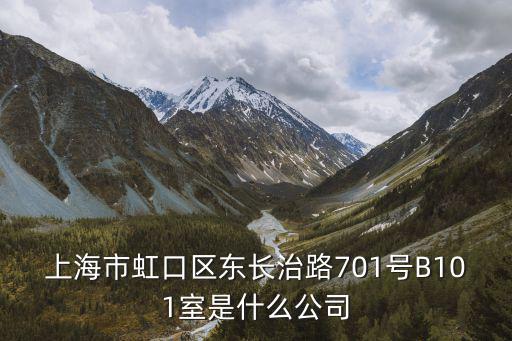 上海市虹口區東長治路701號B101室是什么公司