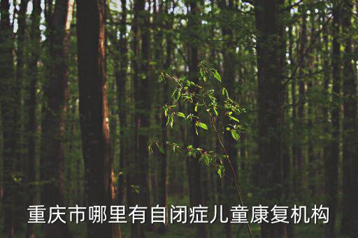 重慶市哪里有自閉癥兒童康復(fù)機(jī)構(gòu)