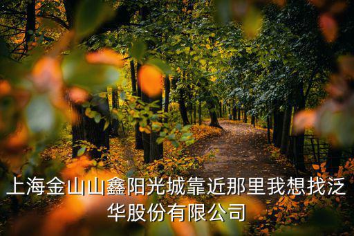 上海金山山鑫陽(yáng)光城靠近那里我想找泛華股份有限公司