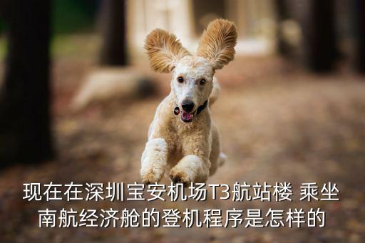 深圳t3南航，深圳T3航站樓南航是幾號(hào)門(mén)出發(fā)