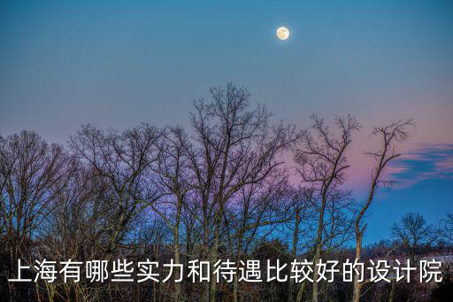 上海有哪些實力和待遇比較好的設計院
