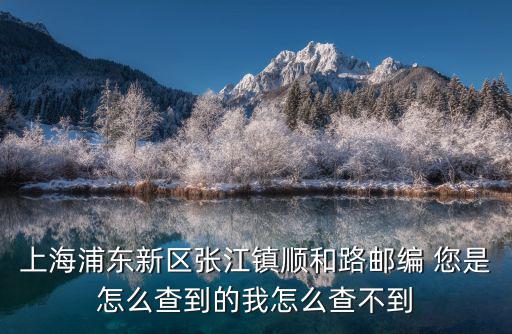 上海浦東新區(qū)張江鎮(zhèn)順和路郵編 您是怎么查到的我怎么查不到