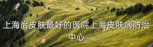 上海治皮膚最好的醫院上海皮膚病防治中心