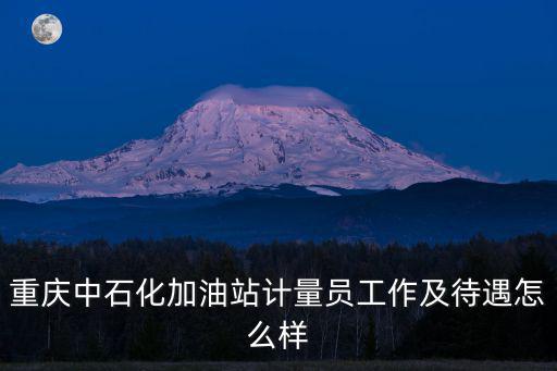 重慶市加油槍檢測申請表，重慶哪里有賣加油機的