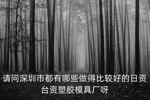 請問深圳市都有哪些做得比較好的日資臺資塑膠模具廠呀