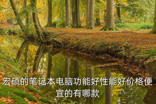 宏碩的筆記本電腦功能好性能好價格便宜的有哪款
