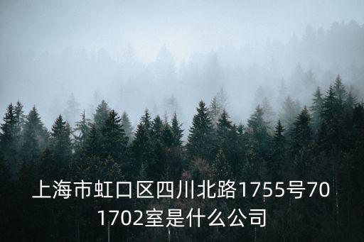 上海市虹口區四川北路1755號701702室是什么公司