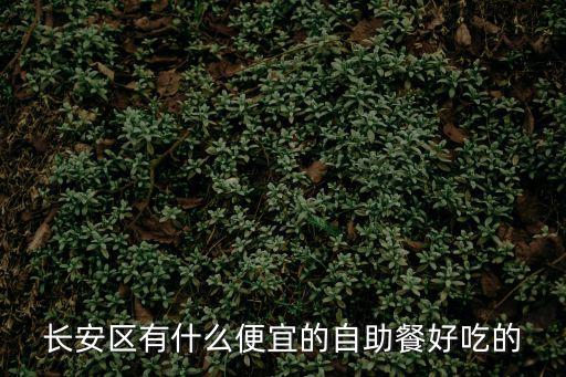 長安區有什么便宜的自助餐好吃的
