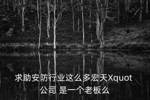 求助安防行業(yè)這么多宏天Xquot 公司 是一個(gè)老板么