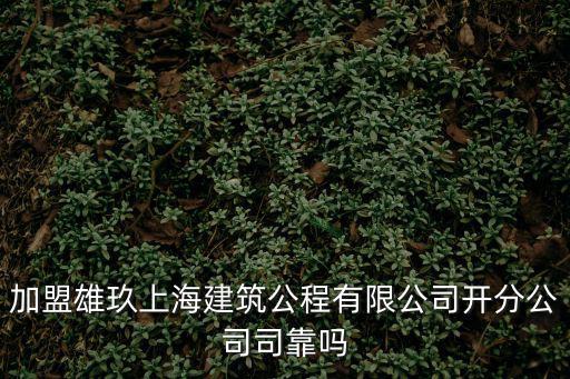 加盟雄玖上海建筑公程有限公司開分公司司靠嗎