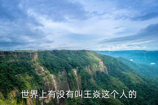 世界上有沒有叫王焱這個人的